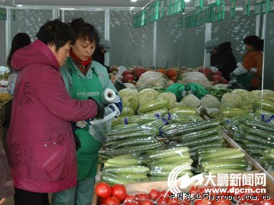 汉中韭菜种子价格