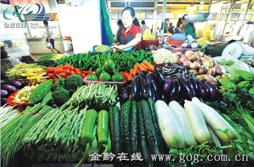 中国蔬菜网五洲巨葱