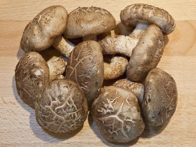 龙薯九号红薯种植技术