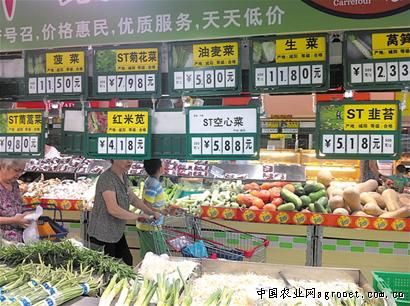 江津红薯粉市场价格