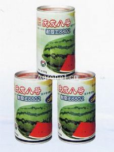 庆发8号-耐湿王8802——西瓜种子