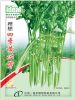 供应四季黄心芹—叶菜类种子