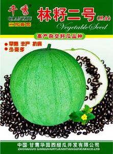 供应林籽二号—西瓜种子