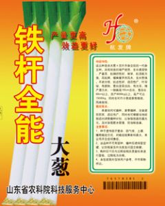 供应铁杆全能—大葱种子