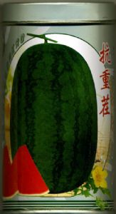 西瓜种子－抗重茬特选高抗王