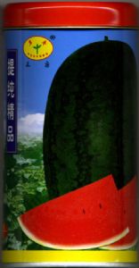 西瓜种子－抗重茬为农三号