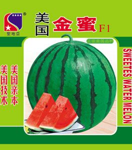 供应美国金蜜F1-西瓜种子