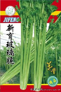 供应新育玻璃脆—芹菜种子