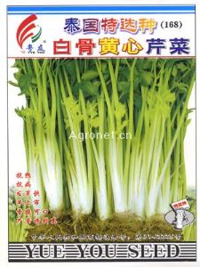 供应泰国特选种168白骨黄心-芹菜种子