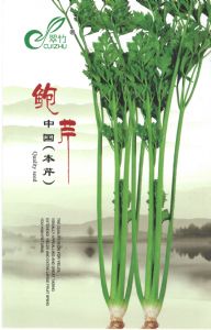 供应鲍芹—芹菜种子