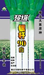 供应超级银杆90白—大葱种子