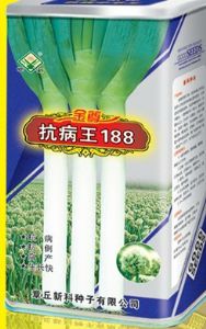 供应抗病王188—大葱种子