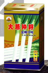 供应金棒10号——大葱种子