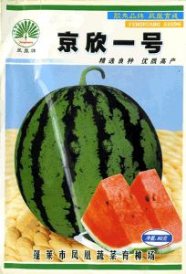 供应京欣一号——西甜瓜种子