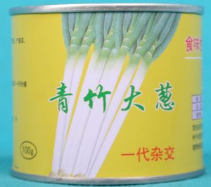 供应日本青竹—大葱种子