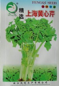 供应上海黄心芹（凤起）—芹菜种子